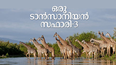 വിതയ്‌ക്കേണ്ട, കൊയ്യേണ്ട, കളപ്പുരകള്‍ നിറയ്‌ക്കേണ്ട; നീന്തടാ, നീന്ത്