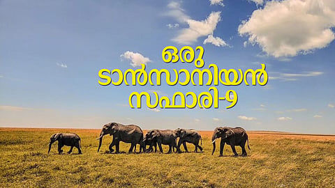 ''ഞാന്‍ മസായിയാണ്, എല്ലാവരും അങ്ങനെ വിളിക്കുന്നു, ഞാന്‍ വിളി കേള്‍ക്കും''; ആ വാക്കുകളില്‍ സെരങ്കട്ടിയിലെ നക്ഷത്രങ്ങളെല്ലാം കെട്ടുപോയി
