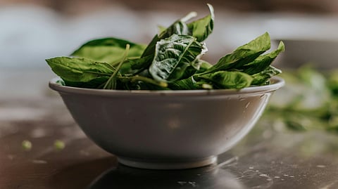 Fiber foods for loss weight