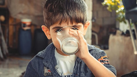 milk health benefits