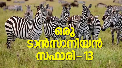 ''പുല്‍മൈതാനത്തെ കടുംപച്ചയും ഇളം പച്ചയുമെന്നു വേര്‍തിരിച്ചിടുന്നു; ഗോരംഗോരോയില്‍ ചുറ്റിത്തിരിയുന്ന മേഘങ്ങളുടെ നിഴലുകള്‍''
