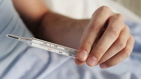 Leptospirosis