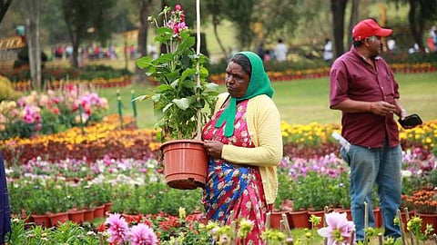 Ooty