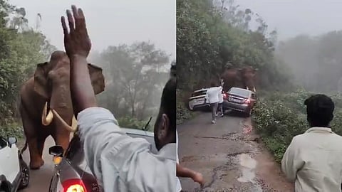 Padayappa rushes towards passengers in Munnar