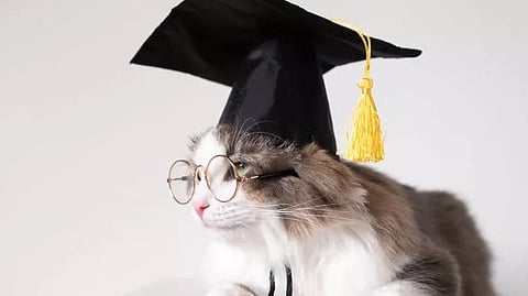 Dr. Max