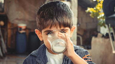 World milk day