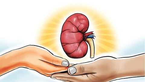 organ donation