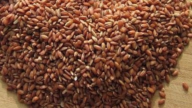 njavara rice