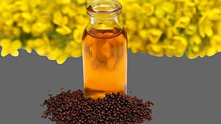 mustard oil