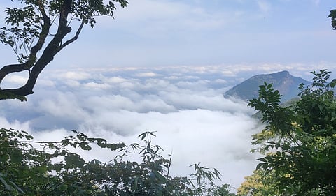nelliyambathi