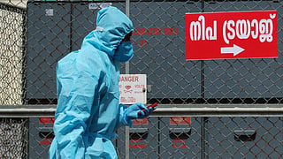 Nipah virus again