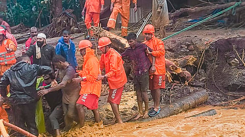 wayanad landslide