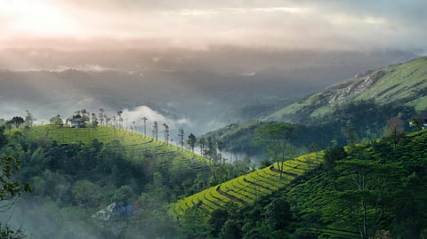Plastic Ban in Munnar From August 1
