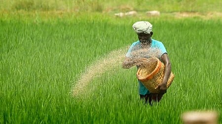 പുത്തൻ പ്രതീക്ഷകളുമായി പൊന്നിൻ ചിങ്ങം വന്നെത്തി