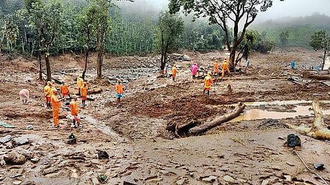  rescuers team Munderi forest and tried to come back