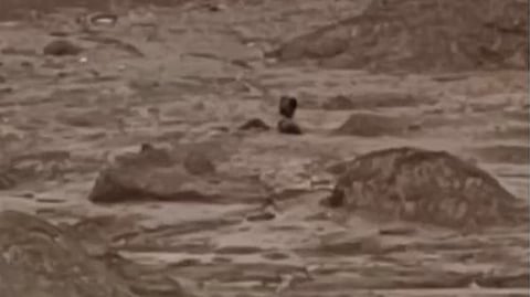 wayanad landslide