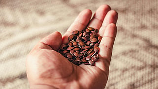 seeds