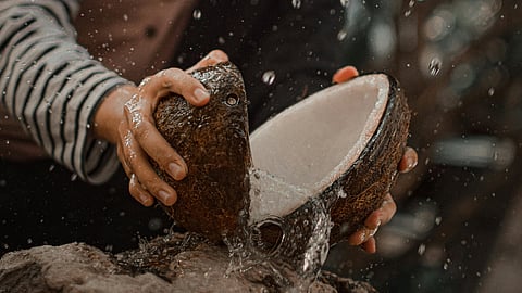coconut water