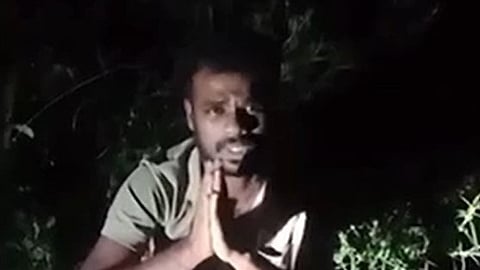banana thief caught