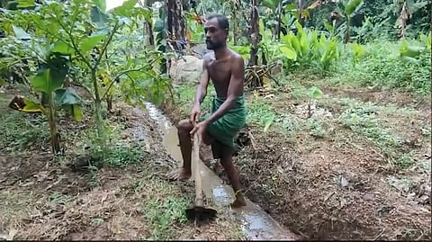 farmer jaleel