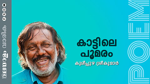 കുരീപ്പുഴ ശ്രീകുമാര്‍ എഴുതിയ കവിത: കാട്ടിലെ പൂമരം
