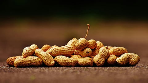 PEANUT ALLERGY