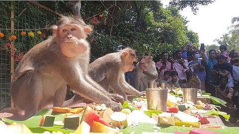 onam celebration
