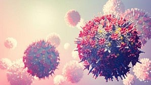 New XEC Covid Variant Spreads To 27 Countries
