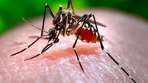infectious disease; The aim is to find out the spread of the disease in every district