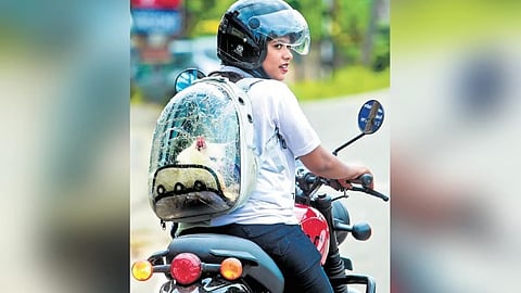 SAJMA SALIM