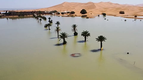 sahara