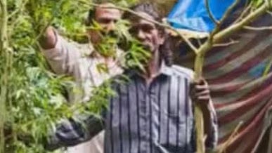Growing, and selling cannabis