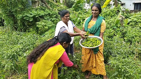 mulakupadam
