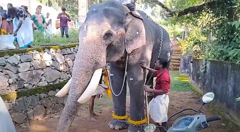 manikandan 