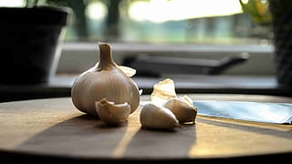 GARLIC