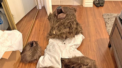Men Dressed As Bears Destroy Their Own Luxury Cars For Insurance Money