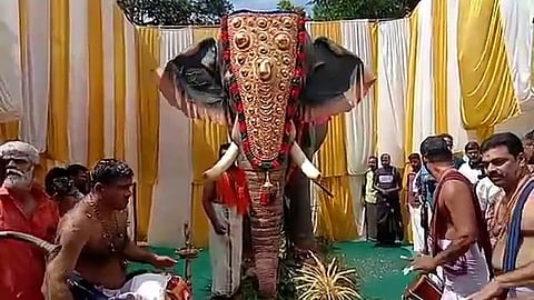 robotic elephant 