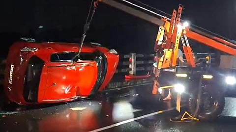 Stray dogs jump on top of car, lose control, video