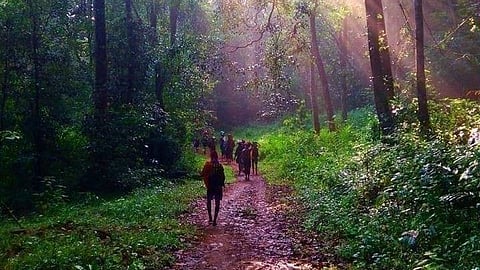 sabarimala 