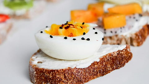 egg