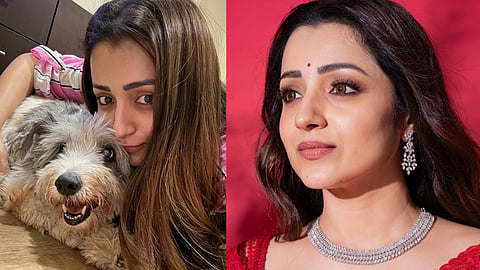 trisha