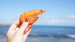 prawns