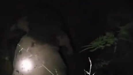 Wild elephant falls into 25-foot deep well in Malappuram; rescue operation