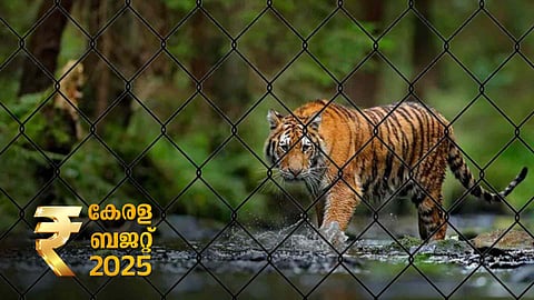 kerala budget 2025