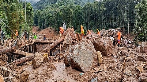 wayanad disaster