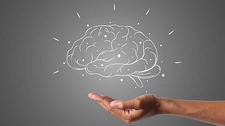 brain