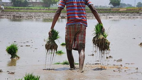 PM Kisan Samman Nidhi