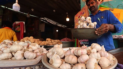 Garlic price