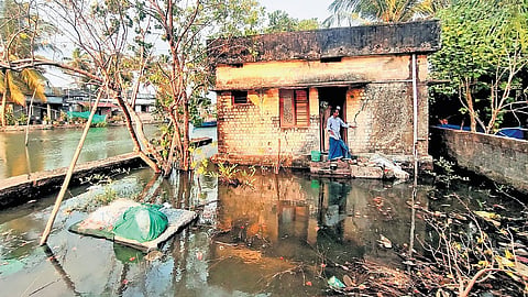 Dredging will be carried out in Vembanad Lake to avoid waterlogging in remote homes