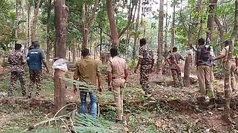 Kannur elephant 